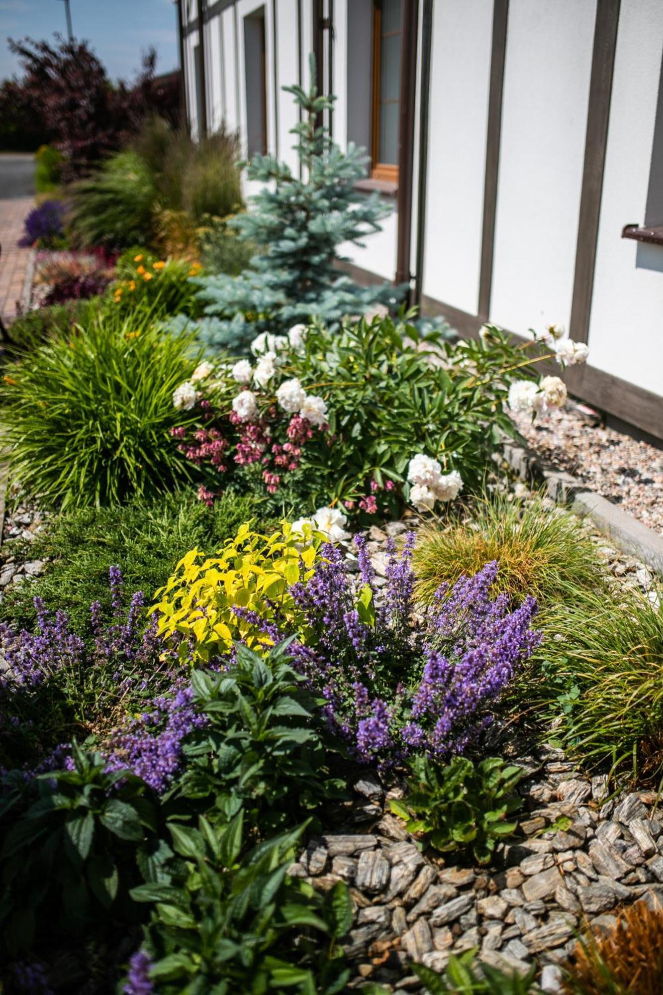 Bed and Breakfast Nordowi Dwór Celbowo Exterior foto